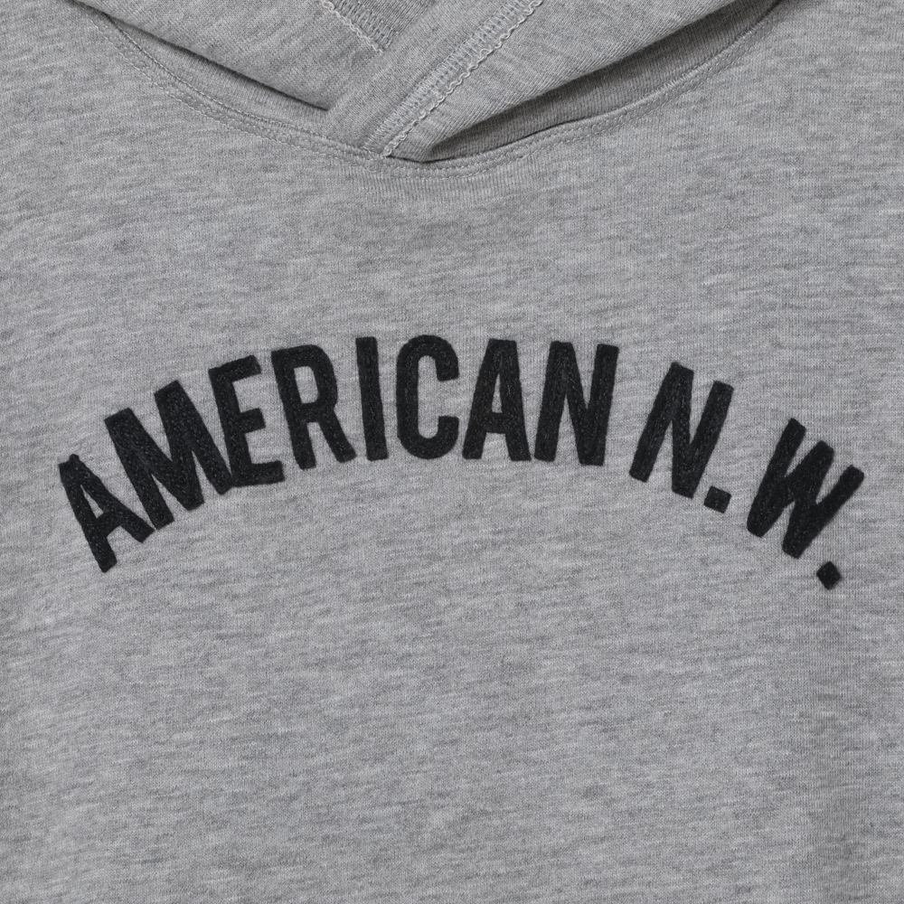 SW HOODIE ARCH AMENW