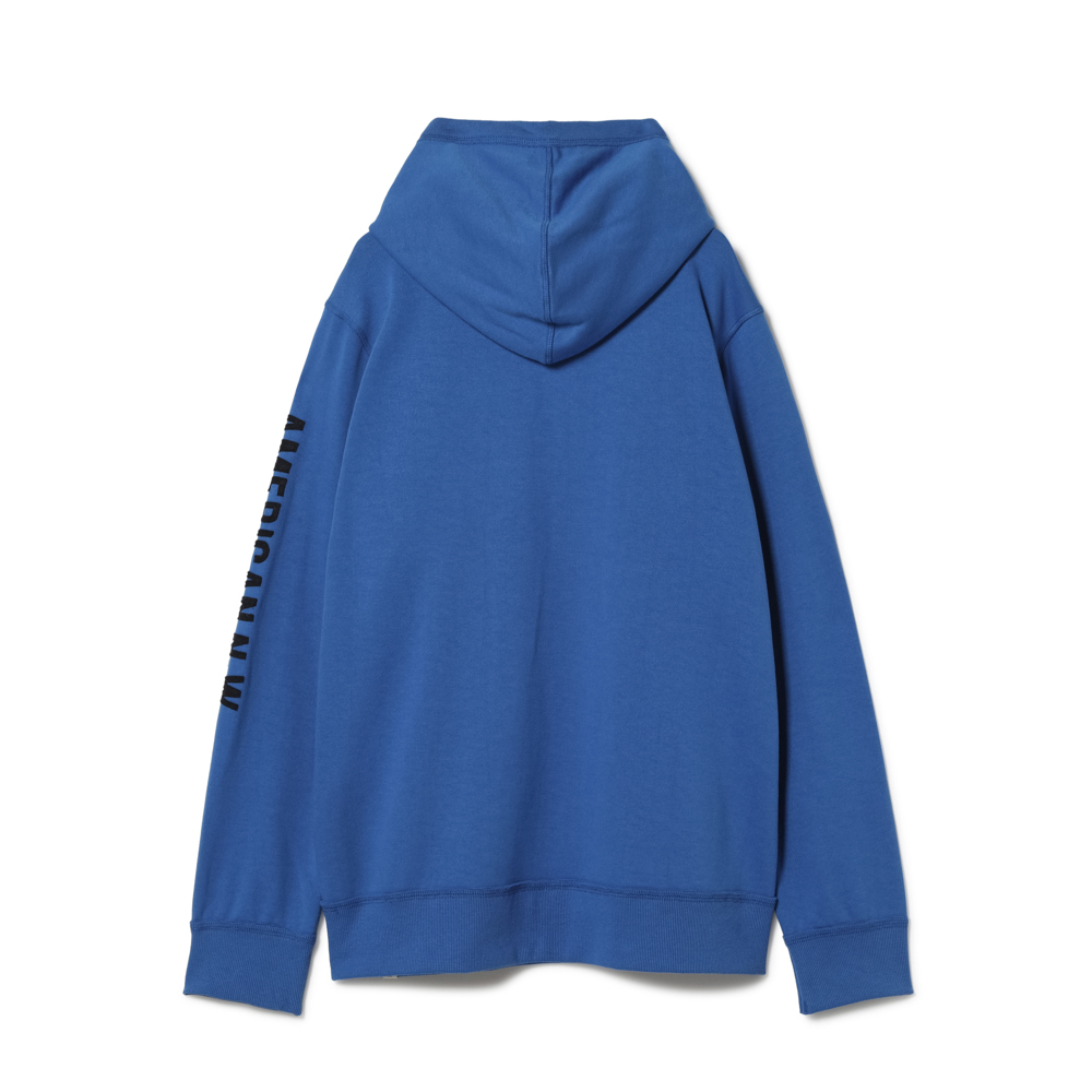 SW HOODI SLEEVE LOGO